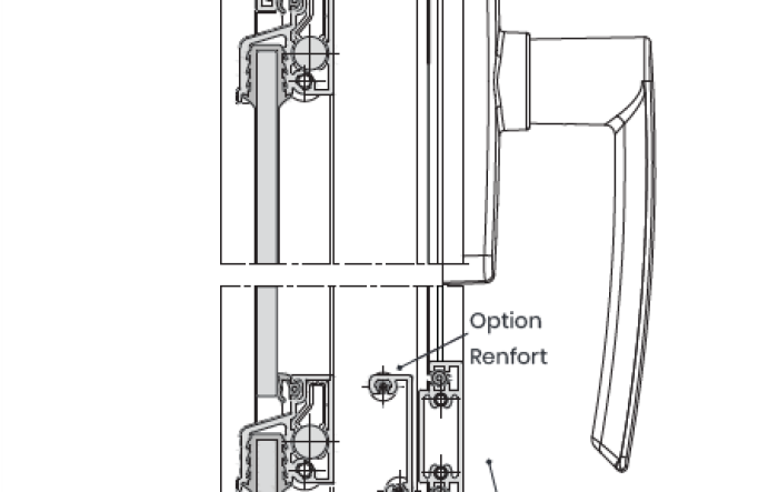 Alizeole coupe verticale